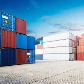 CUSTOMS AND TAX ADVICE